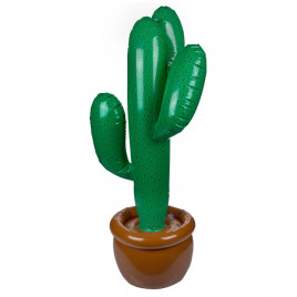 Opblaasbare cactus